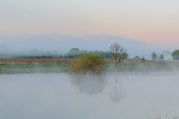 Fototapeta premium awesome foggy morning on the lake