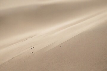 footsteps in the sand