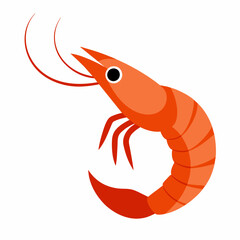 Shrimp vector clipart art illustration, solid white background (1)