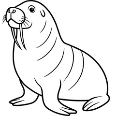 Walrus vector art illustration, solid white background (4)
