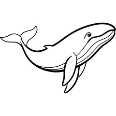 Whale vector clipart art illustration (4)