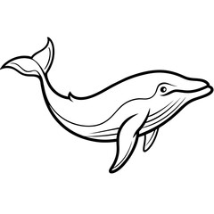 Whale vector clipart art illustration (8)