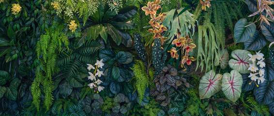Naklejka premium Group of dark green tropical leaves background, Nature Lush Foliage Leaf Texture, tropical leaf.
