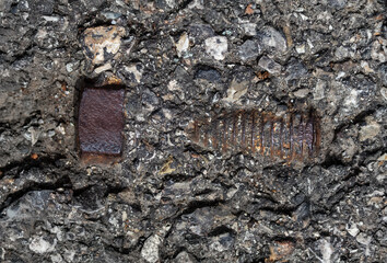 Weathered bolt emerging from asphalt pavement
