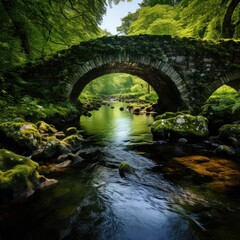 Lush green forest with mossy stone bridge over flowing river