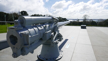 cannon in the fortress