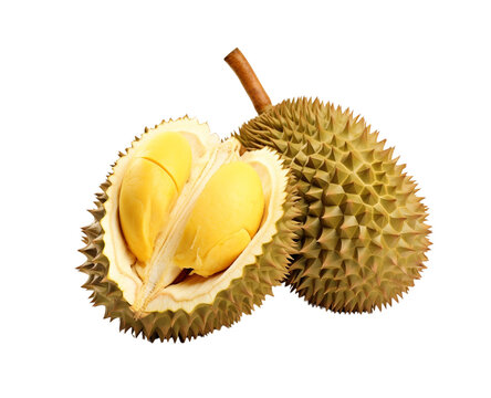 Two durians, one open showing the durian filling, are isolated in white, indicating a rich taste and texture. Generative AI