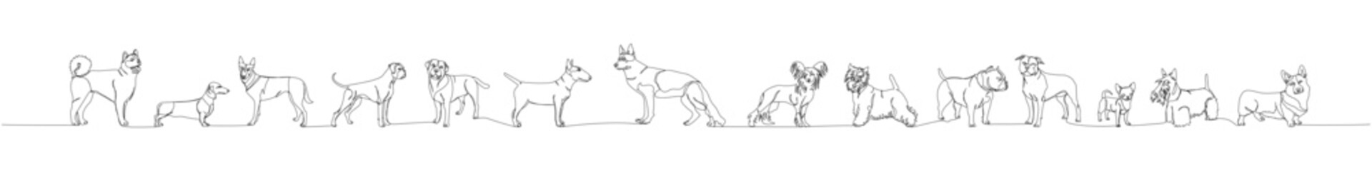 A set of dogs of different breeds in full height, guard dog, service dog, companion dog one line art. Continuous line drawing of friend, dog, doggy, friendship, care, pet, animal, family, canine.