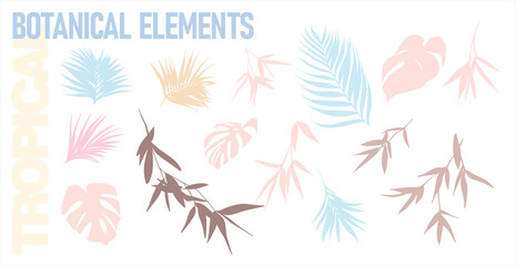 Set of tropical silhouettes of leaves and twigs in pastel colors on a transparent background. Digital abstract illustration for branding, scrapbooking, social media