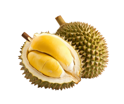 Two durians, one open showing the durian filling, are isolated in white, indicating a rich taste and texture. Generative AI