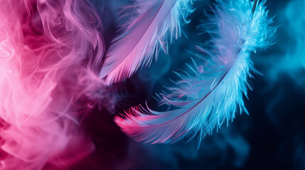 Feather abstract freedom concept. Group of light fluffy a white feathers floating