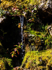 waterfall in the jungle with moss a deep shadows