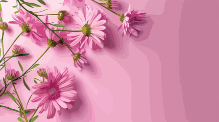 Beautiful aster flower on pink background with space