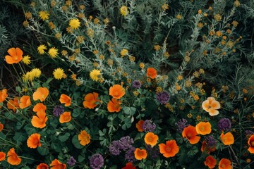 Blooming red poppy in a wheat field - Papaver rhoeas .. Beautiful simple AI generated image in 4K, unique.