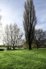 Obraz premium Queen Elizabeth Gardens in Salisbury city