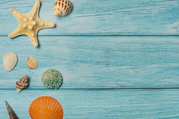 Sea shells and starfish on a blue wooden background. Top view, copy space