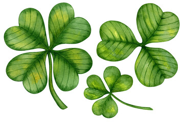 Watercolor drawing of clover leaves. St. Patrick's Day. The concept of summer holidays. Handmade work