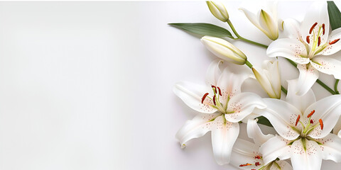 Elegant Lily Funeral Arrangement on White Background with Space for Text