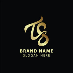 Luxury letter T&S logo design