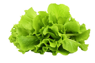 Ethereal Lettuce Dance. On a White or Clear Surface PNG Transparent Background.