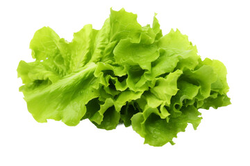 Ethereal Dance of Lettuce Leaves. On a White or Clear Surface PNG Transparent Background.