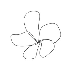 Jasmine flower continuous one line drawing modern style minimalist design.Vector