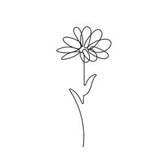 abstract flower continuous line drawing. Vector illustration