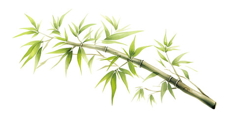 Watercolor oil painted bamboo brush. Hand drawn vector design elements isolated on white background.