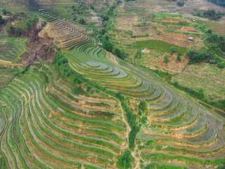 La Pan Tan, Mu Cang Chai, Yen Bai, Vietnam, Epic Drone Shot of Rice Fields in Northern Vietnam at...