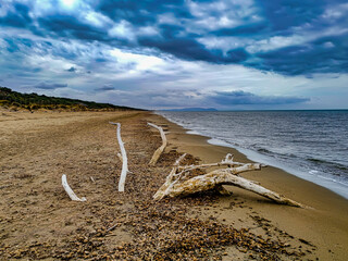 Panorama from the beach of Pianetti in Marina di Donoratico Tuscany Italy towards San Vincenzo. In the foreground of beached timber
