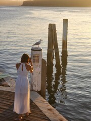 Woman dressed in white, on the pier, photographing a seagull