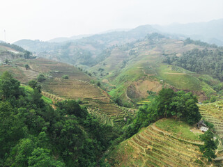 Obraz premium La Pan Tan, Mu Cang Chai, Yen Bai, Vietnam, Epic Drone Shot of Rice Fields in Northern Vietnam at Sunrise and Early Morning - layers of amazing landscape in May