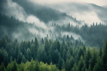 misty morning in the mountains