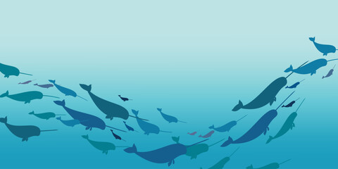 Narwhal school. Vector illustration of a group of narwhals swimming underwater. School of fish. Flat style.