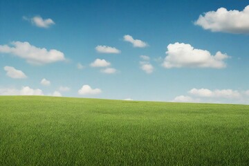 Obraz premium green field and blue sky