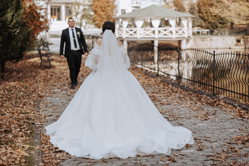 Obraz premium A bride and groom are walking down a path in a park. The bride is wearing a white dress and the groom is wearing a black suit. Scene is romantic and happy
