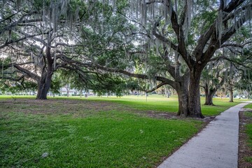 Fototapeta premium Ocala, Florida