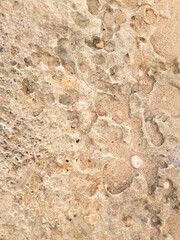 Coastal rocks and sea water as a natural background.