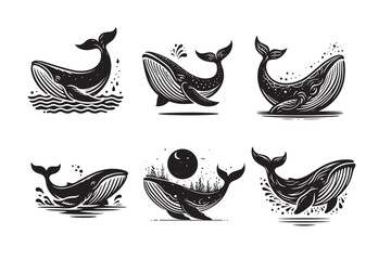 Fototapeta premium whale vector illustration