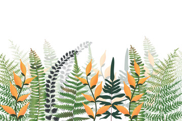 Fern horizontal banner with leaves.Vector illustration, border of fern on a white background, cartoon decorative seamless strip for summer and autumn season, design for cosmetics, homedesign.

