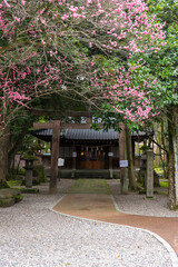 【縦写真】金沢の金谷神社