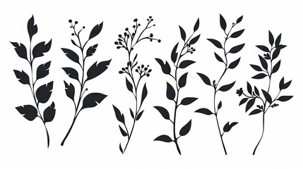 Silhouettes of botanical elements in minimalistic black and white design