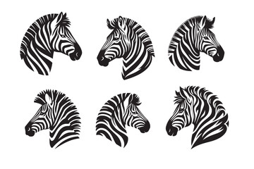 zebra vector illustration © Helal