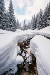 Mountaineer backcountry ski walking ski alpinist in the mountains. Ski touring in alpine landscape with snowy trees. Adventure winter sport. Low Tatras, slovakia