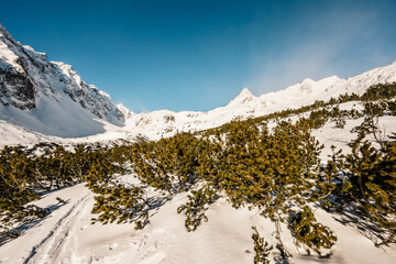 Alpine mountains landscape with white snow and blue sky. Sunset winter in nature. Frosty trees under warm sunlight. Wintry landscape. High tatras, Slovakia