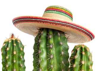 Mexican cactus with sombrero hat isolated on a transparent background