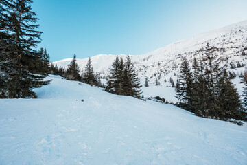 Alpine mountains landscape with white snow and blue sky. Frosty trees under warm sunlight. Wonderful wintry landscape High Tatras, slovakia