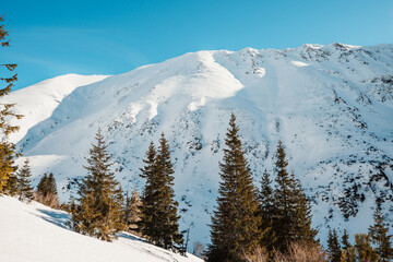 Alpine mountains landscape with white snow and blue sky. Frosty trees under warm sunlight. Wonderful wintry landscape High Tatras, slovakia