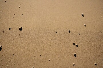 footprints in sand