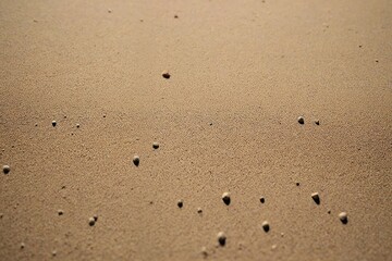 footprints in sand